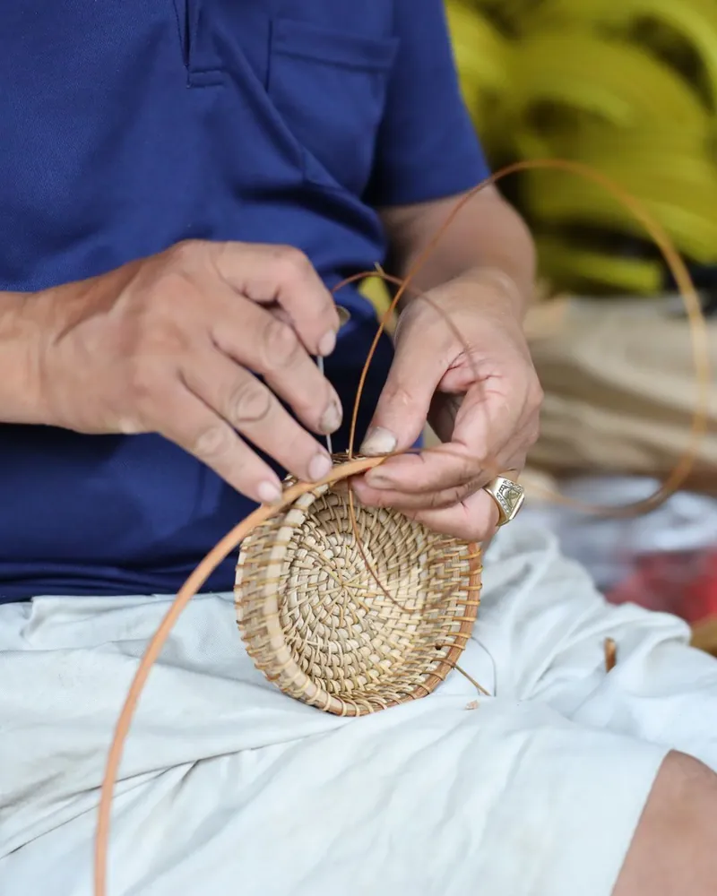 Manos tejiendo con fibra vegetal una pieza redonda de cestería, con varas finas curvadas alrededor